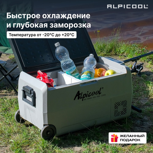 Автохолодильник Alpicool ET36 (12/24)
