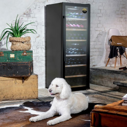 CASO WineExclusive 126 Умный (Smart)