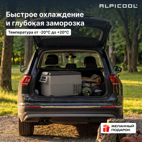 Автохолодильник Alpicool CF35 (12/24)