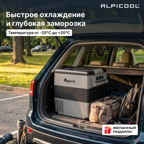 Автохолодильник Alpicool CF55 (12/24)