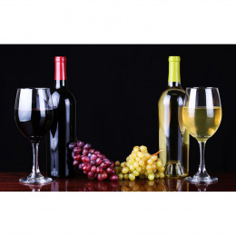 CASO Wineduett 120