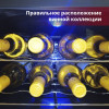Винный шкаф Cold Vine C8-TBF1