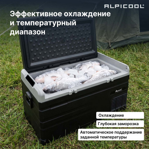 Автохолодильник Alpicool TS100 (12/24)
