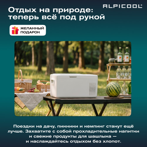 Автохолодильник Alpicool S15 (12/24)