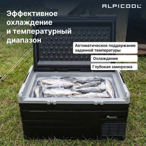 Автохолодильник Alpicool TS80 (12/24)