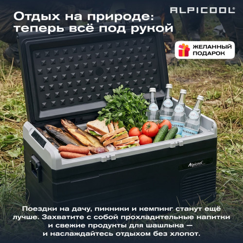 Автохолодильник Alpicool TS80 (12/24)
