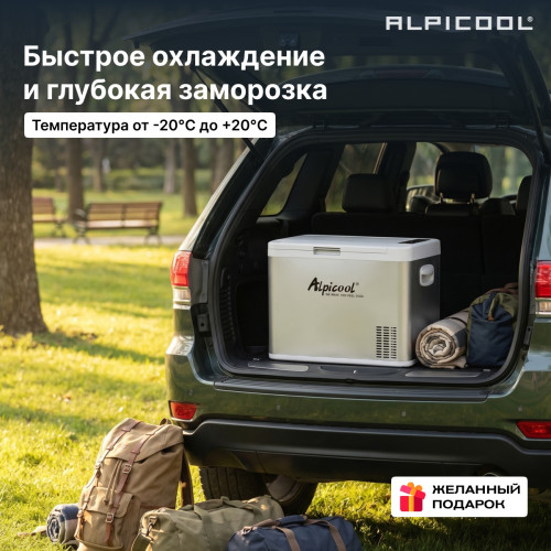 Автохолодильник Alpicool MK35 (12/24)