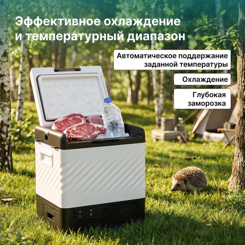 Автохолодильник Alpicool P22 (12/24)