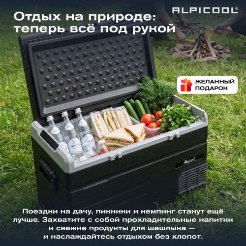 Автохолодильник Alpicool TS120 (12/24)