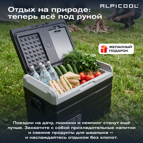 Автохолодильник Alpicool TS40 (12/24)
