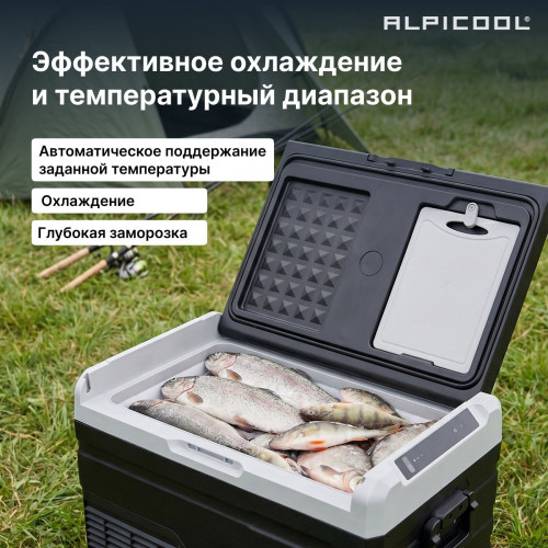 Автохолодильник Alpicool TS40 (12/24)