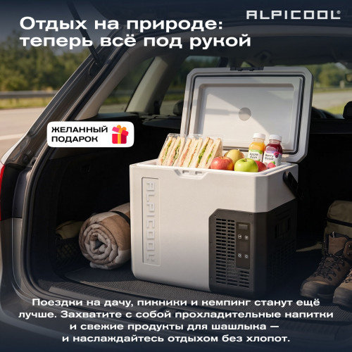 Автохолодильник Alpicool P18 (12/24)