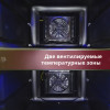 Винный шкаф Cold Vine C12-TBF2