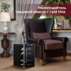 Винный шкаф Cold Vine C12-TBF2