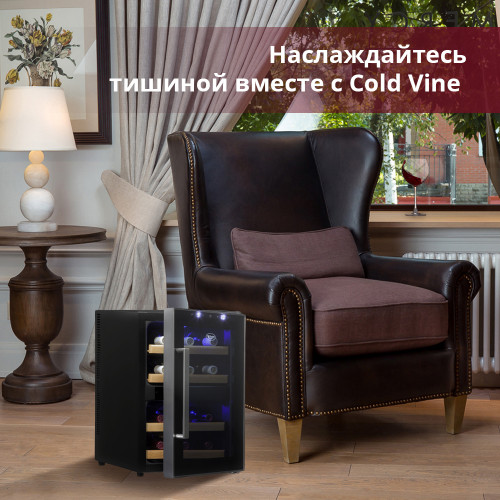 Винный шкаф Cold Vine C12-TBF2