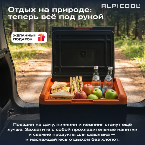 Автохолодильник Alpicool CL30 (12/24)