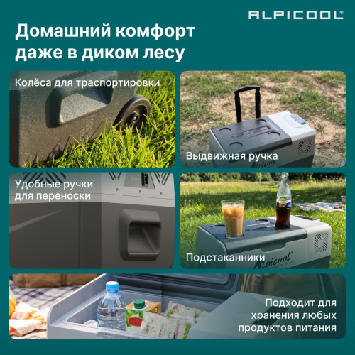 Автохолодильник Alpicool CX30 (12/24)