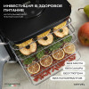 Дегидратор Meyvel MDH5-2P (Чёрный)